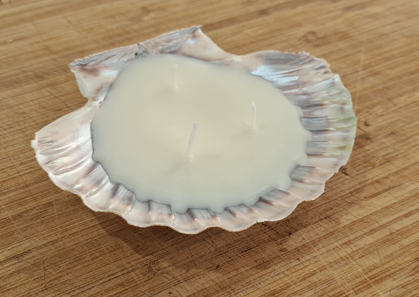 Scallop shell candle box