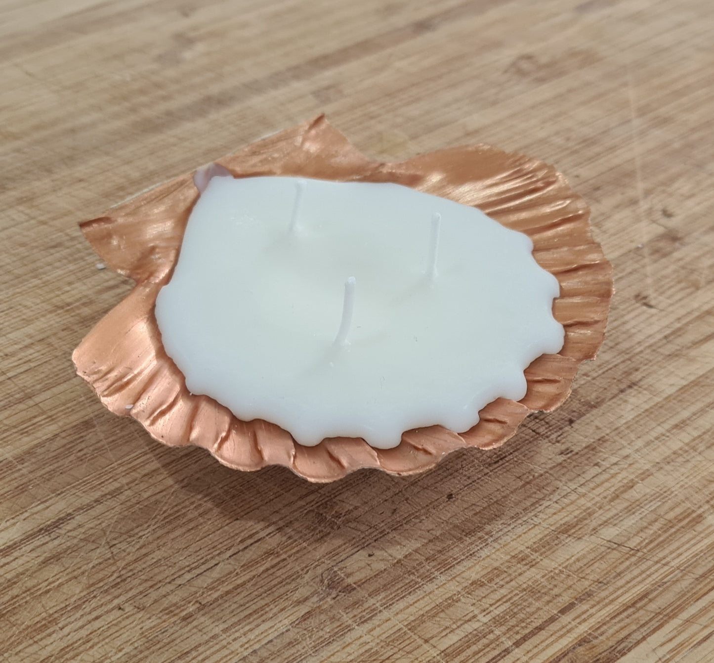 Scallop shell candle box