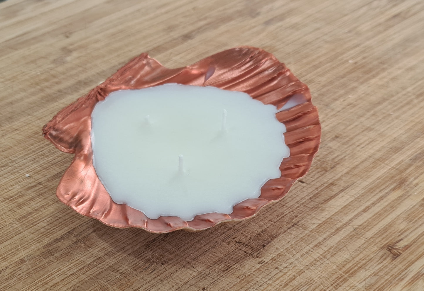 Scallop shell candle box